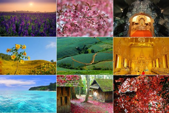 8 สิ่ง 8 สี สวยมหัศจรรย์ในไทย สีสันตระการตา