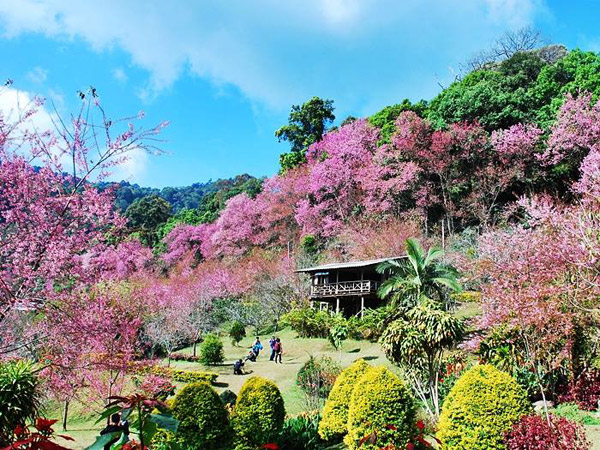 Khunchangkain