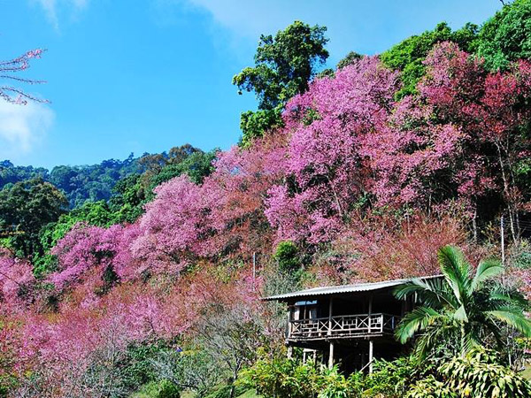 Khunchangkain2