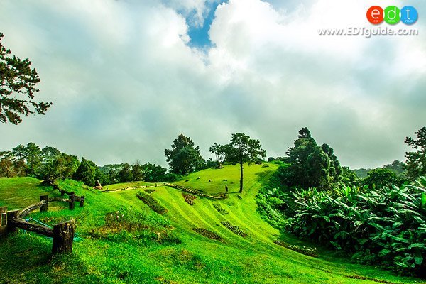 huai-nam-dang5