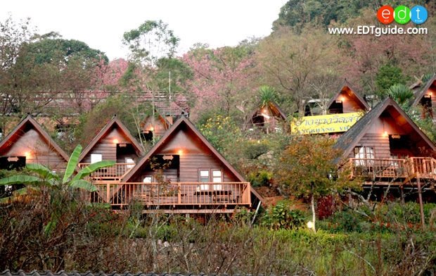 angkhang-villa