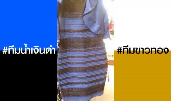 งงกันทั้งโลก !? ชุดในภาพนี้สีอะไรกันแน่ล่ะนี่ ?