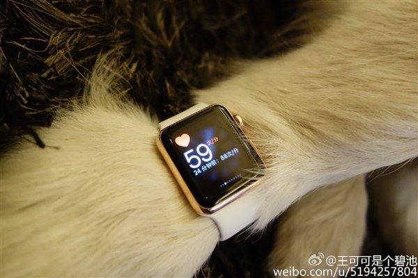 13015-7372-wang-si-cong-dog-apple-watch4-l