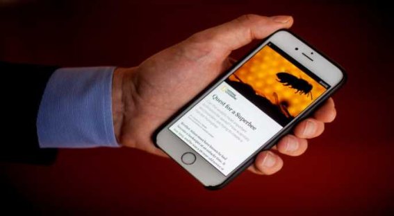 Facebook เปิดตัว Instant Articles พร้อมเสิร์ฟบทความให้ผู้อ่านตรงผ่าน Facebook บน iPhone