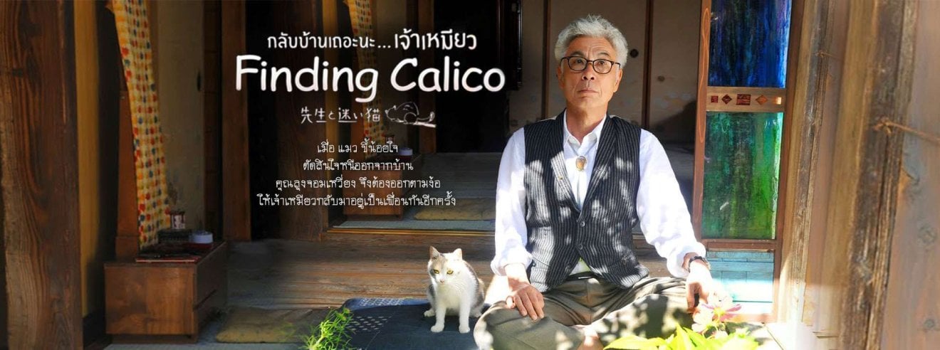 Finding Calico รีวิว กลับบ้านเถอะนะ…เจ้าเหมียว