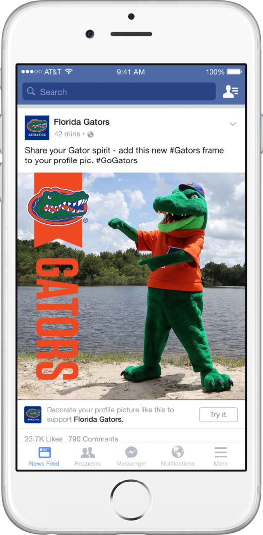 NCAAFBCustomFramesFloridaTryIt