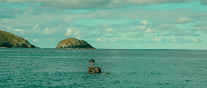 The-Shallows-trailer-700x300