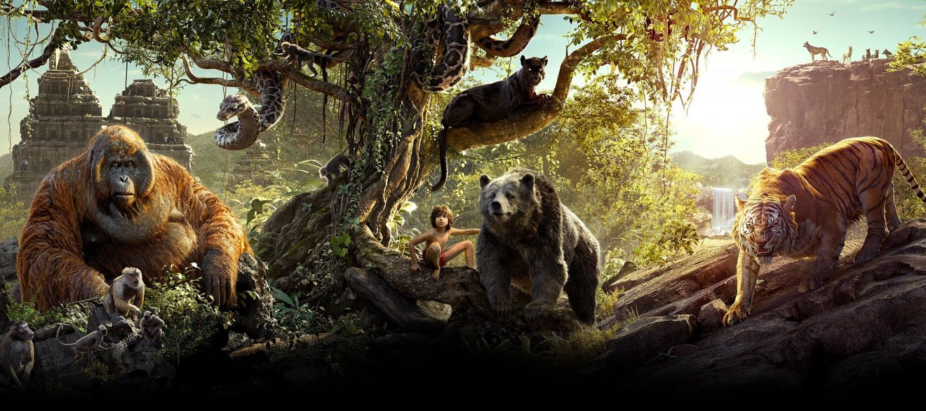 The Jungle Book 1 คำถาม 4 ตัวเลือก ว่าทำไมเราถึงควรดูเมาคลีล่าสัตว์?