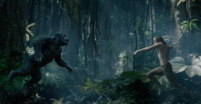 the-legend-of-tarzan-fight-banner