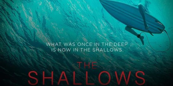 The Shallows : กรี๊ดแตก