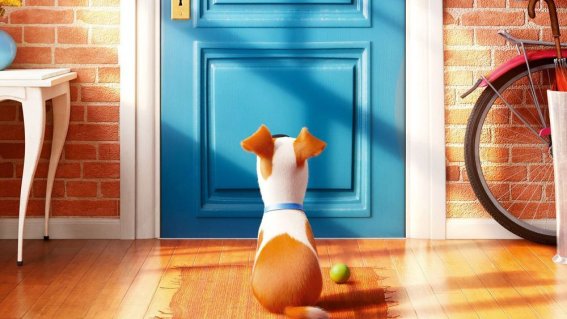 The Secret Life of Pets : ‘ความลับ’ ที่มีโจทย์เป็น ‘ความรัก’