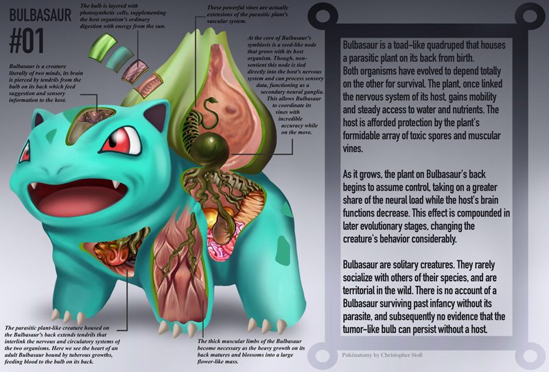 pokemon-anatomy-pokenatomy-christopher-stoll-raw-1