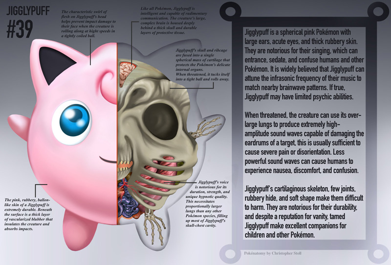 pokemon-anatomy-pokenatomy-christopher-stoll-raw-3