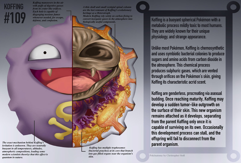 pokemon-anatomy-pokenatomy-christopher-stoll-raw-4