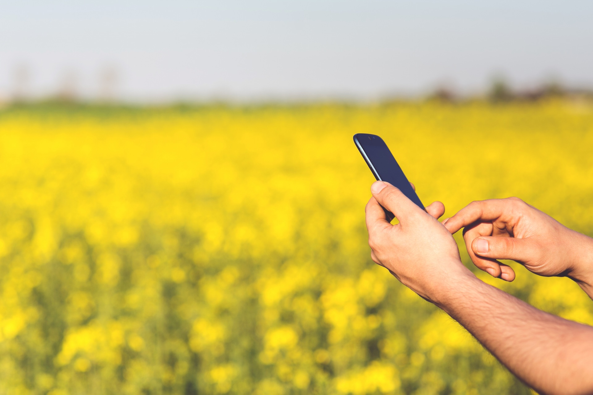 man-field-smartphone-yellow