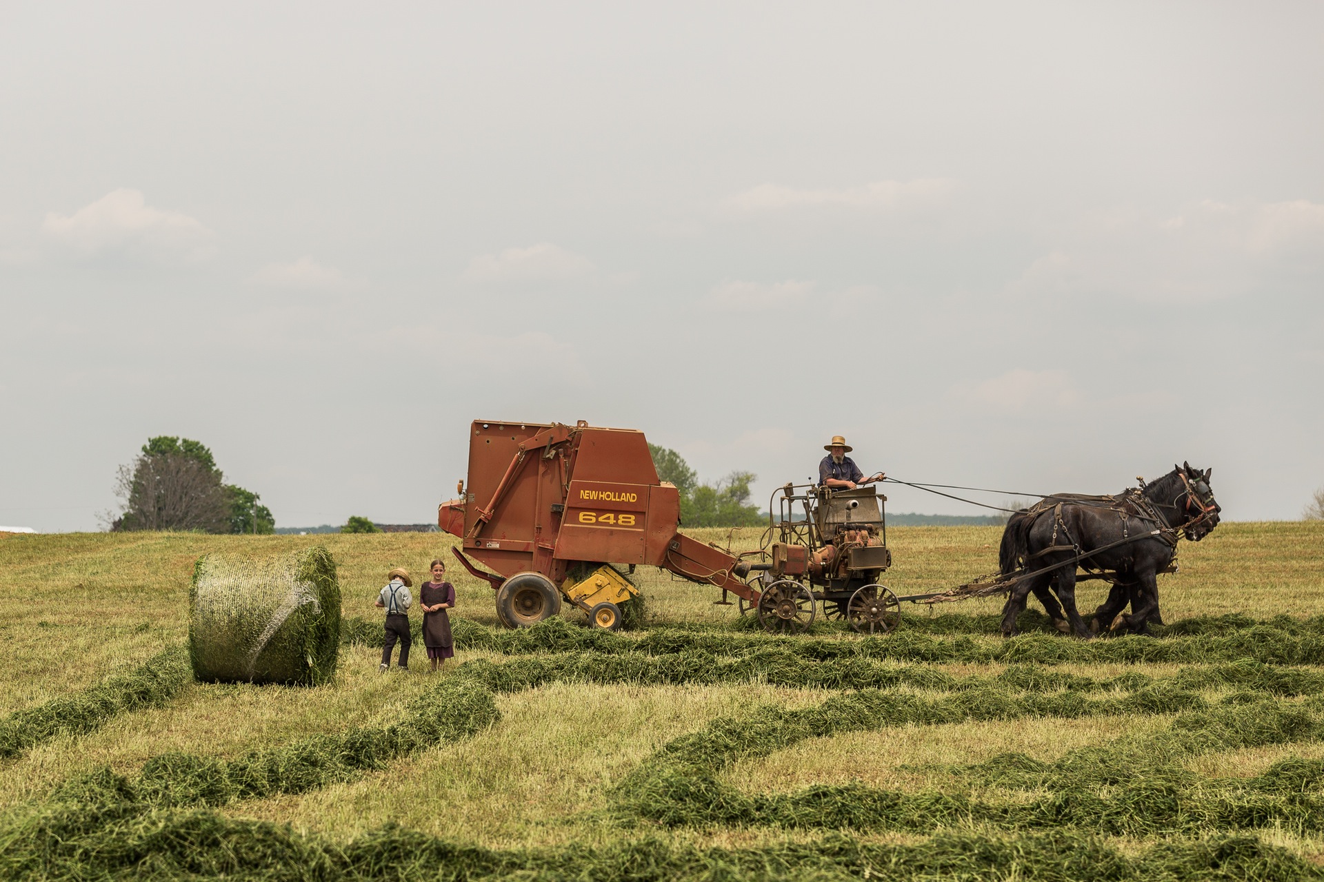 people-field-working-agriculture