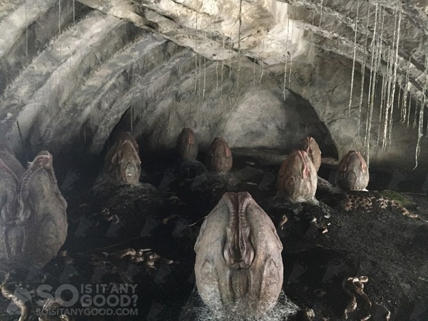 alien-covenant-eggs