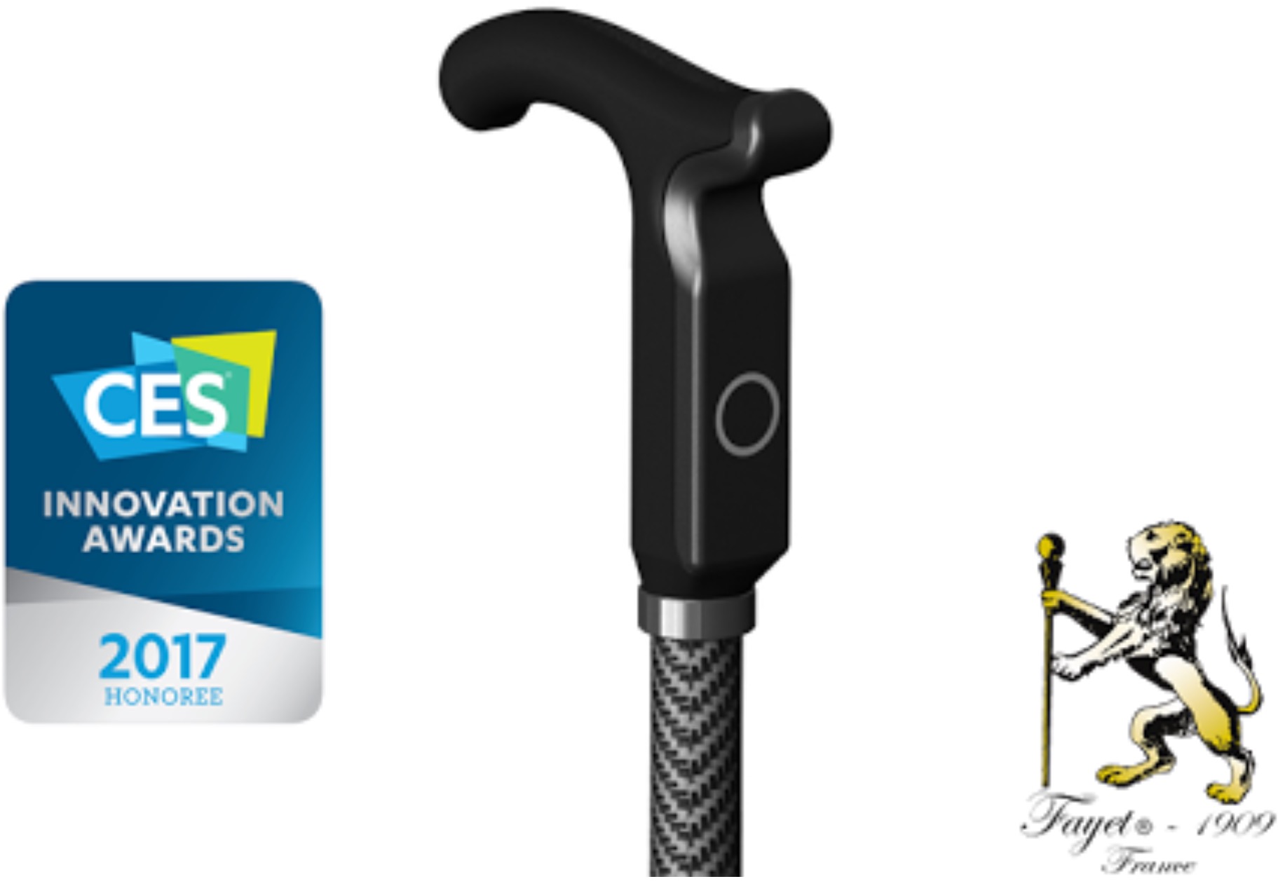 Dring Smartcane 02