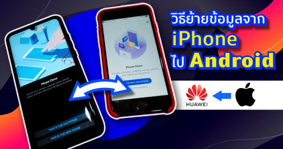 วิธีย้ายข้อมูลจาก iPhone ไป Android ทำยังไงให้ข้อมูลอยู่ครบ! รูปภาพ วิดีโอ ชื่อติดต่อไม่หาย