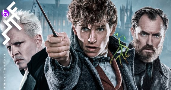 Warner Bros. วางแผนสร้าง Fantastic Beasts ไว้ถึง 5 ภาค