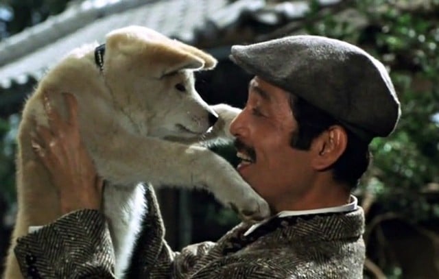 Hachiko (1987)