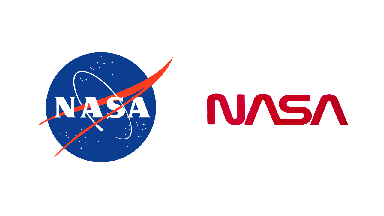 Meatball Worm nasa logo