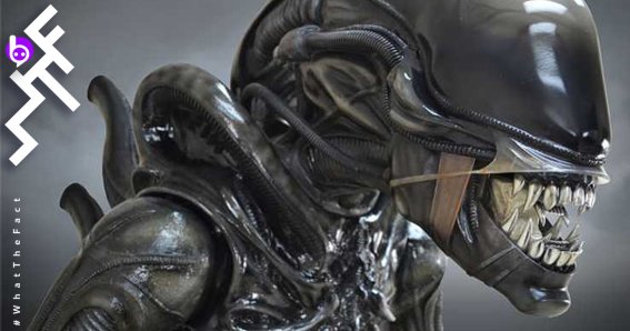 ซื้อไว้ตั้งเล่นที่บ้านสักตัวไหม หุ่น ALIEN ขนาดเท่าจริง 2.4 เมตร ตัวละ 8,000 เหรียญ