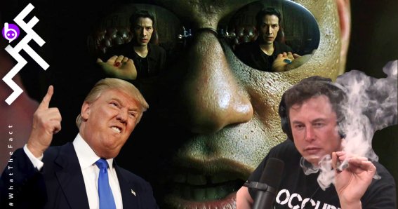 Take the Red Pill Donald Trump Elon Musk The Matrix