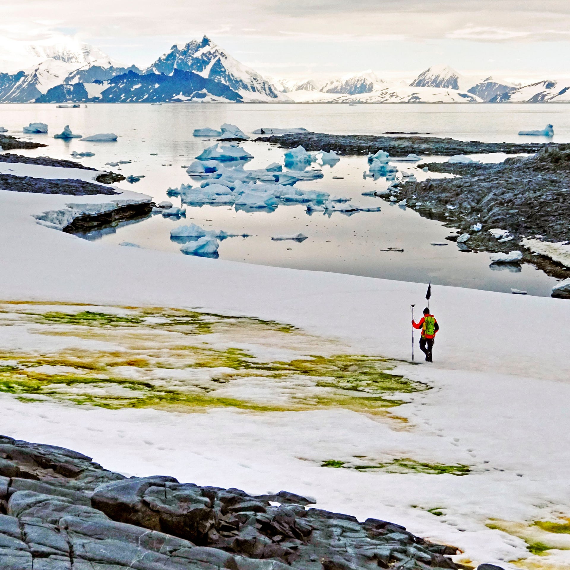 ภาพจาก Nature และ The Guardian