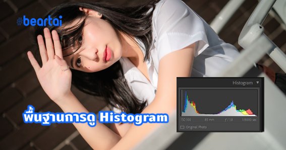 Histogram