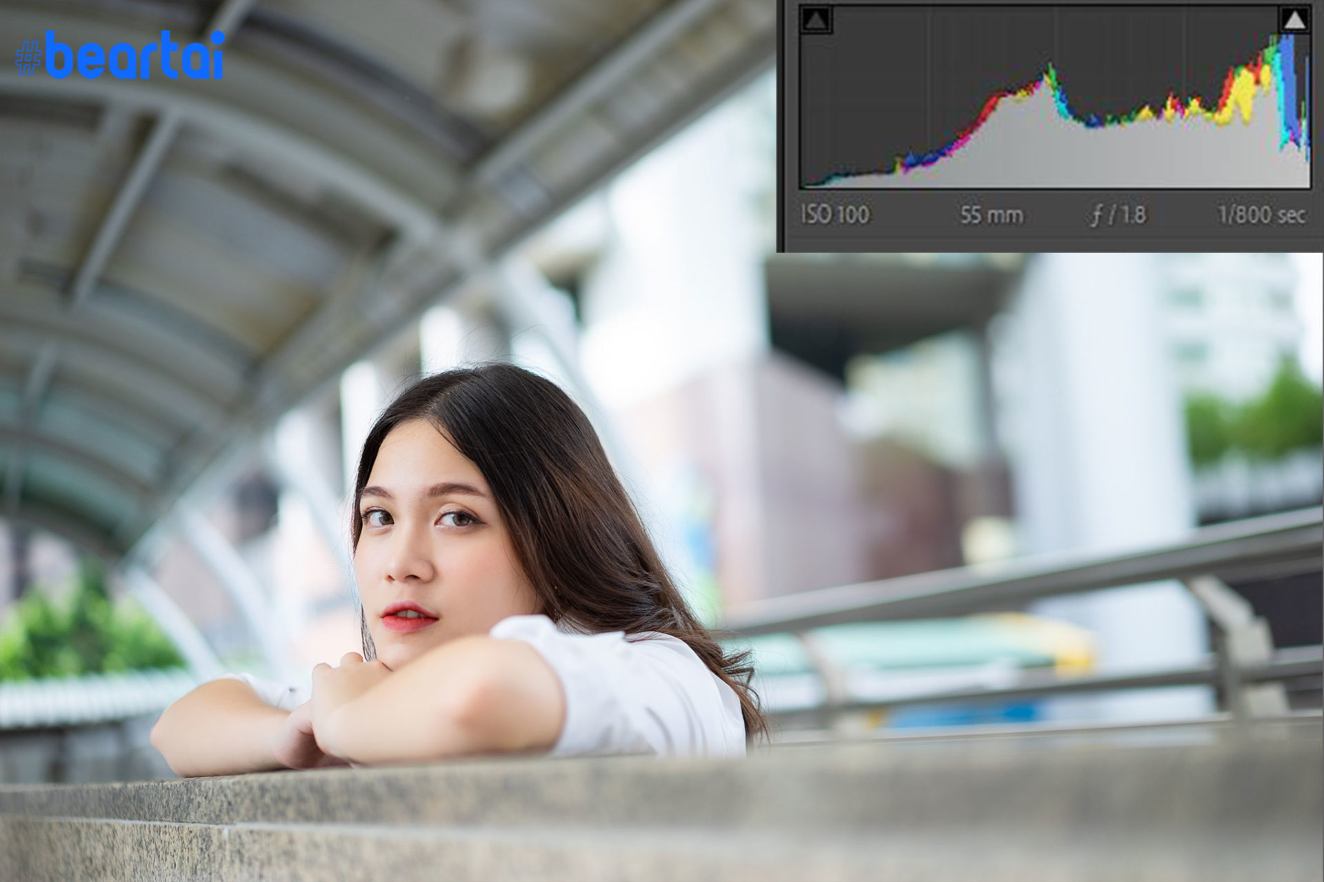 Histogram