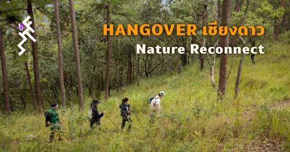 นาดาว บางกอก ส่งโพรเจกต์พิเศษรับปีใหม่ HANGOVER เชียงดาว “Nature Reconnect”