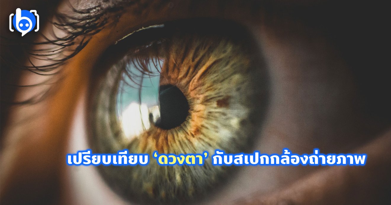 bniique Pixabay EYES