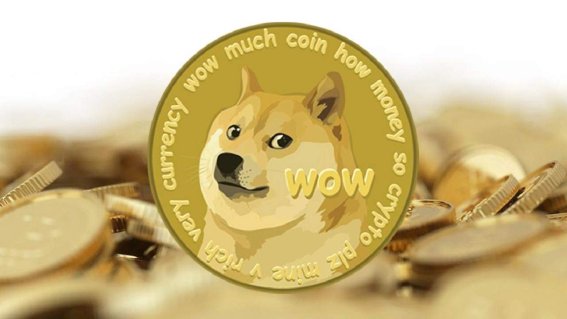 Dogecoin วิ่งออกจากสวนพุ่งทะยานสู่ดวงจันทร์!