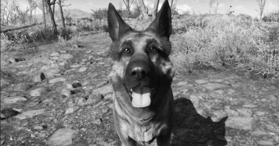 Fallout 4 (Dogmeat)