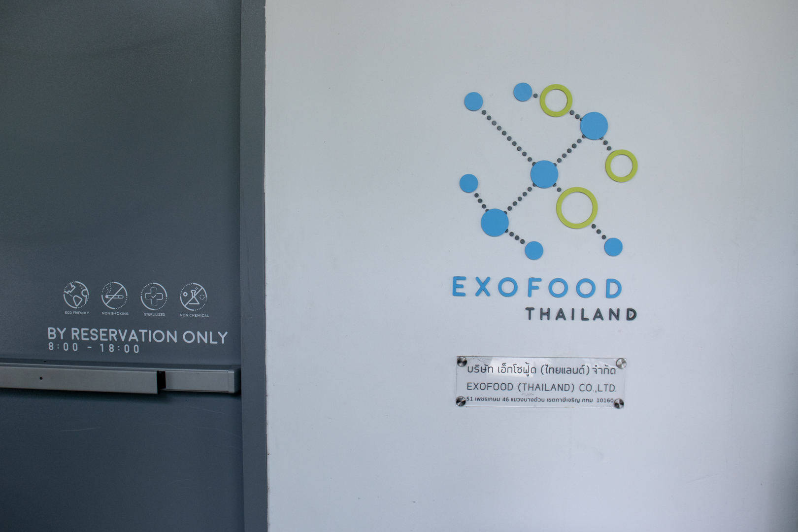 Exofood thailand แมลง แมลงกินได้