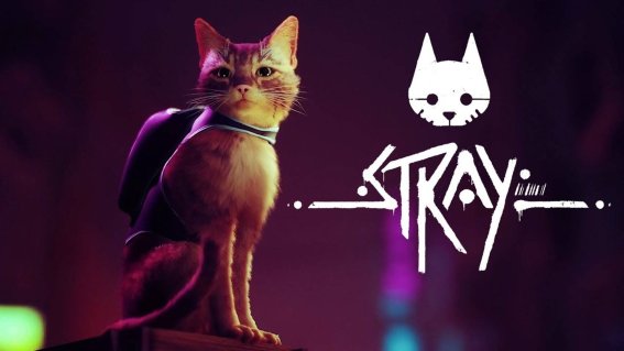 เกม Stray