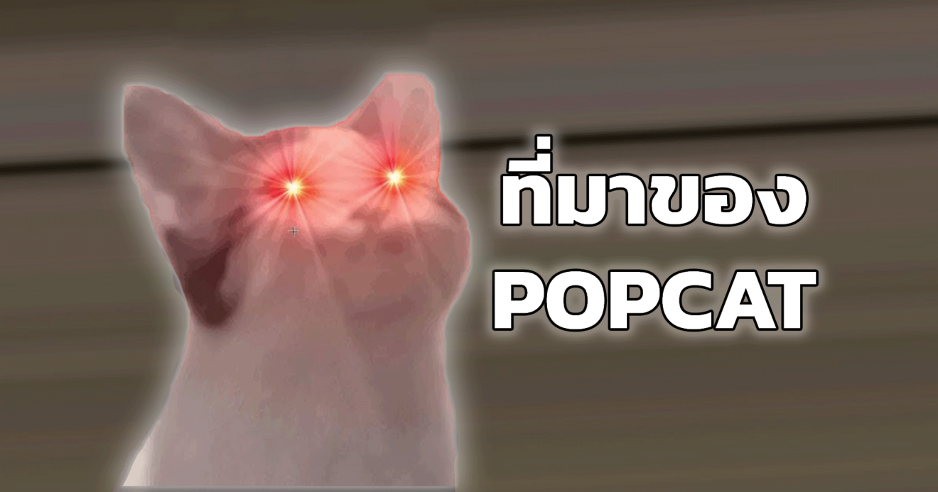 ที่มาของ POPCAT