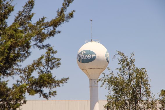 Pfizer เริ่มการทดลองยาป้องกันโควิด-19 ซึ่งเป็นแบบรับประทาน ไม่ใช่แบบฉีด