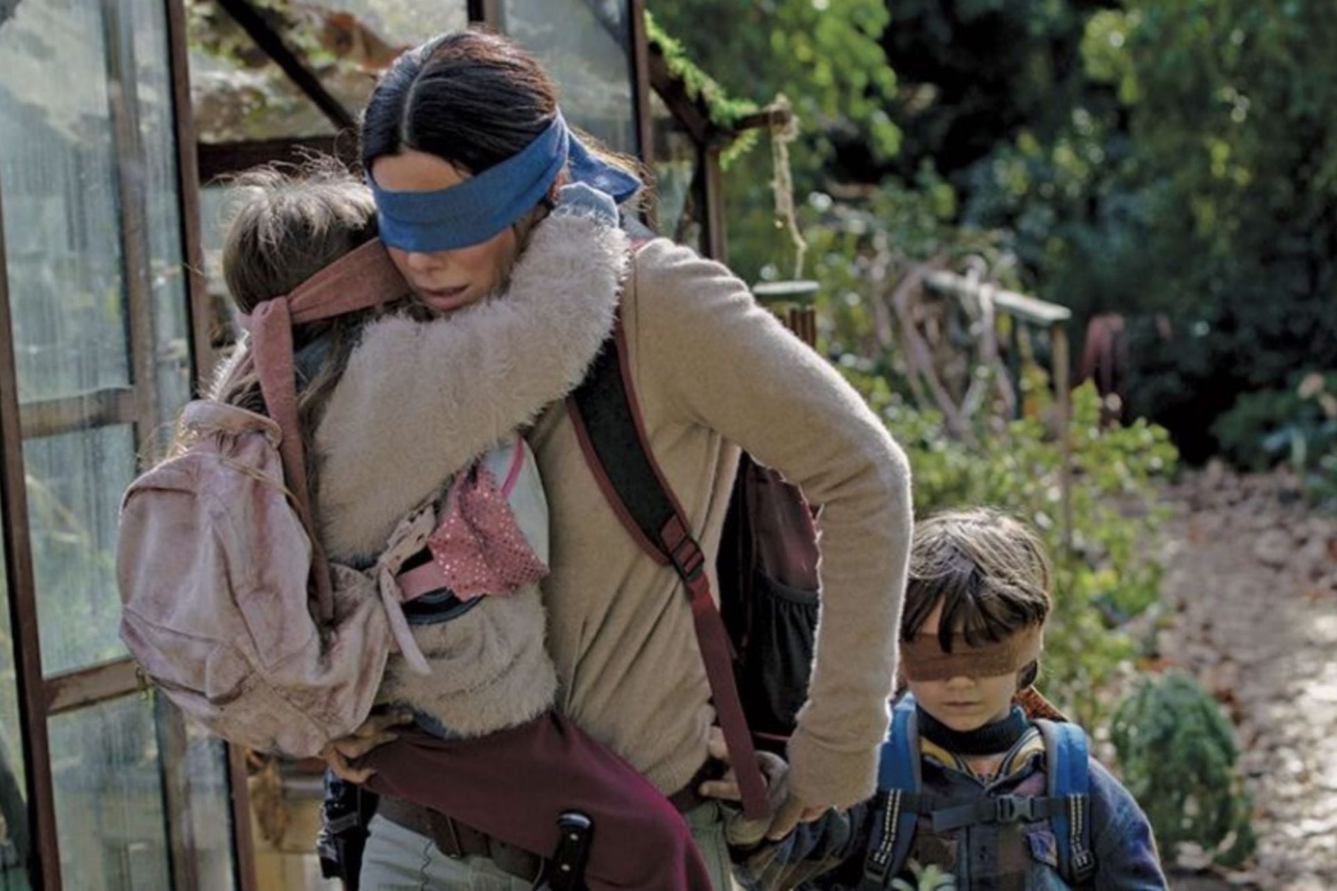 Bird Box