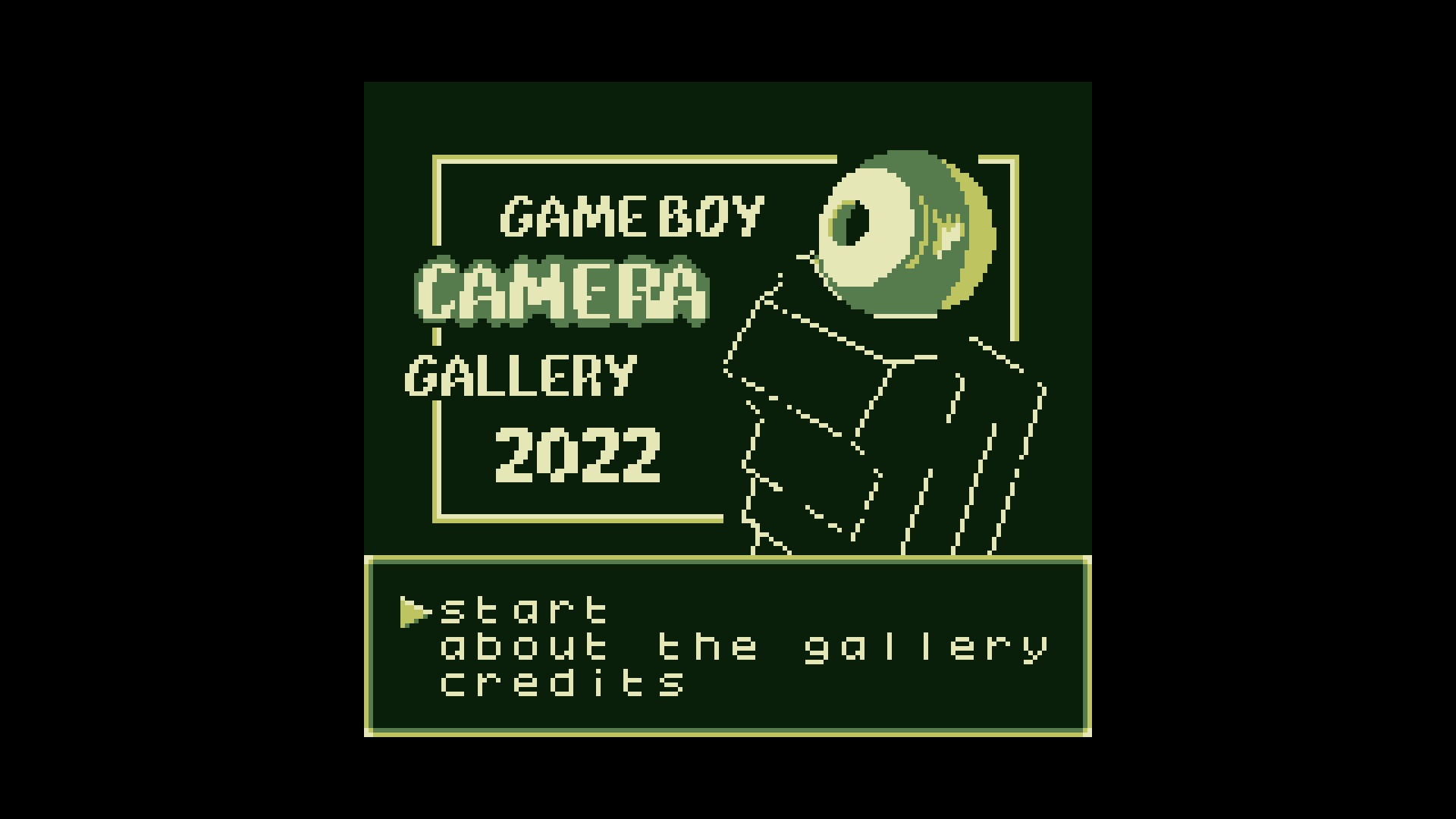 Game Boy Camera, Game Boy