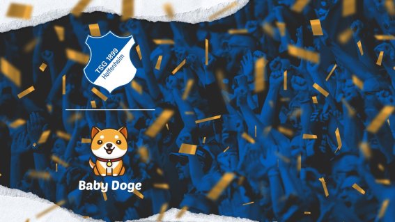 Baby Doge เป็นพันธมิตรและร่วมธุรกิจ NFT กับ TSG Hoffenheim