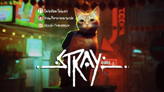 Stray