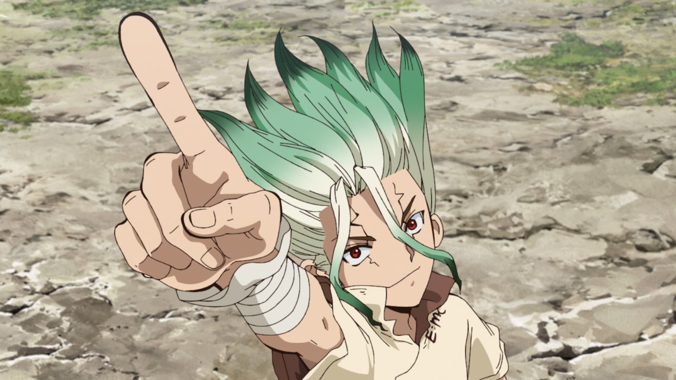 Dr. Stone