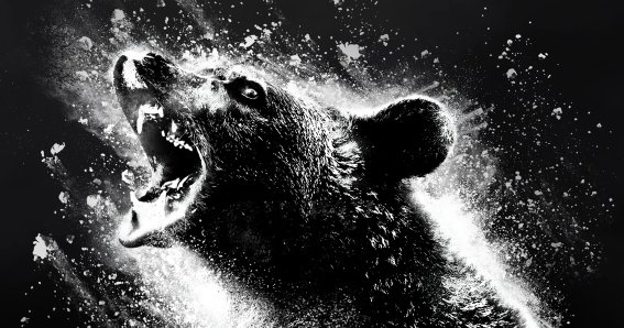 Cocaine Bear