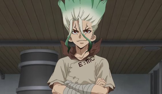 Dr. Stone