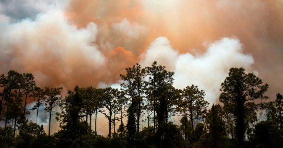 California Wild Fire