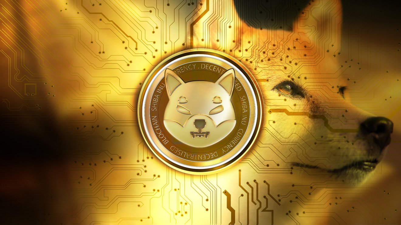 SHIBA เหรียญมีมออกใหม่ ราคาพุ่ง 3,000% ประกาศการเกิดใหม่ของ Doge Killer