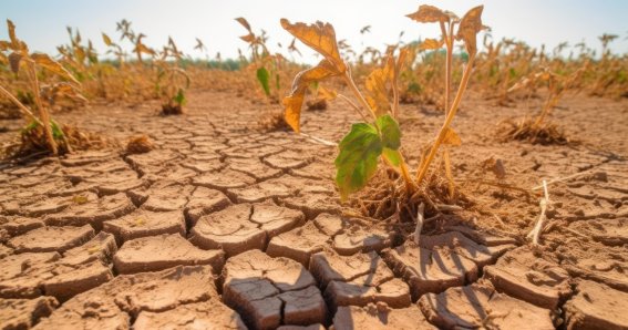 Dried lake bed surface with cracked soil barren landscape clim