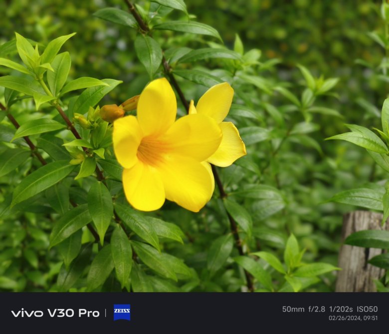 รีวิว vivo V30 Pro 5G : กล้องว่าเทพแล้ว ยังพาเทพ ZEISS ตามมาด้วย